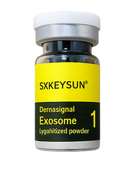 Exosome SXKEYSUN