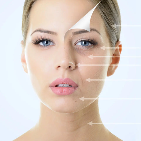 VTCT Skills Level 7 Certificate in Non-surgical Aesthetic Injectable Procedures