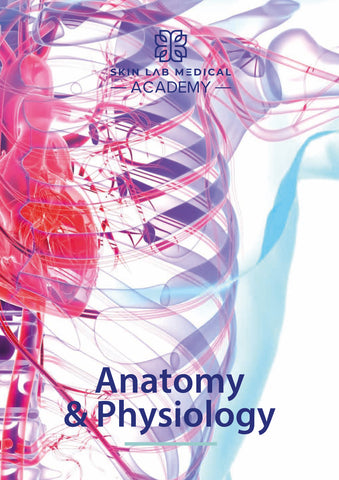 Level 3/4 Anatomy&Physiology Manual